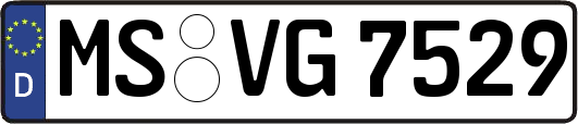 MS-VG7529