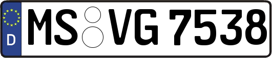 MS-VG7538