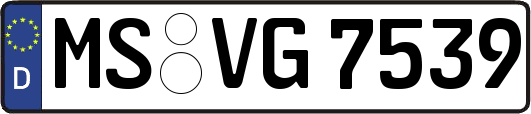 MS-VG7539