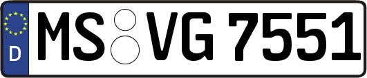 MS-VG7551