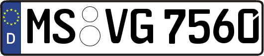 MS-VG7560