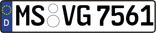 MS-VG7561