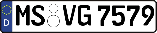 MS-VG7579
