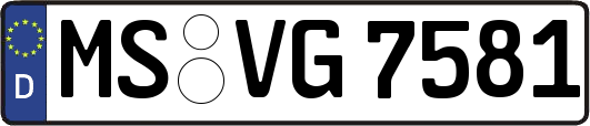 MS-VG7581