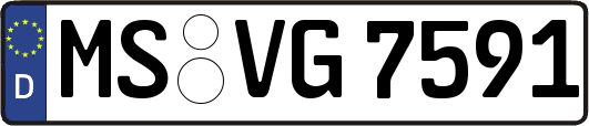 MS-VG7591