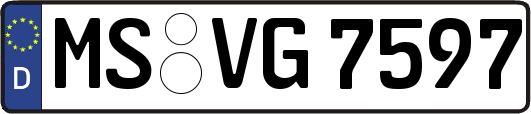 MS-VG7597