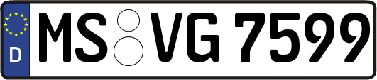 MS-VG7599