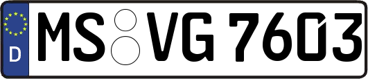 MS-VG7603