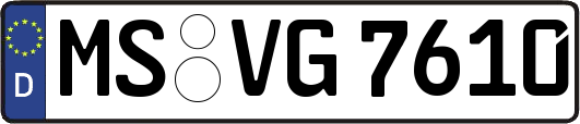 MS-VG7610