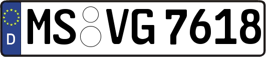 MS-VG7618