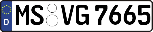 MS-VG7665