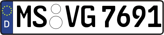 MS-VG7691
