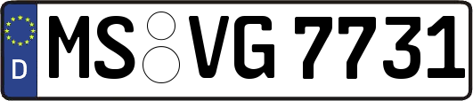 MS-VG7731