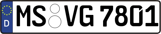 MS-VG7801
