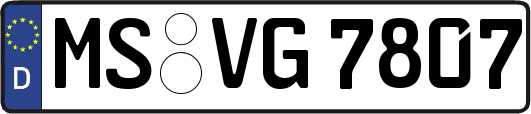 MS-VG7807