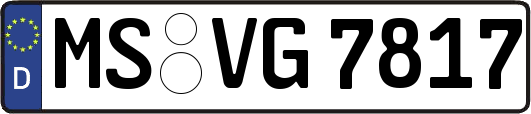 MS-VG7817