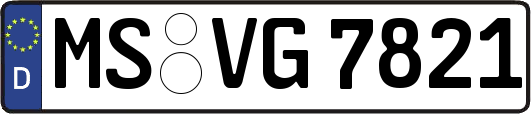 MS-VG7821