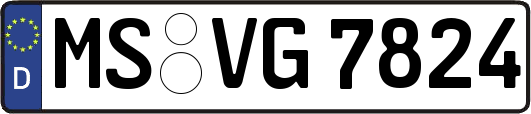 MS-VG7824