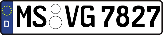 MS-VG7827