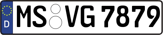 MS-VG7879