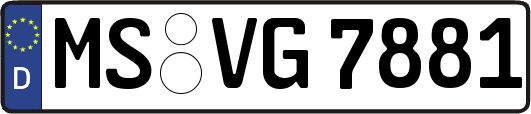 MS-VG7881
