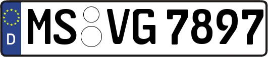 MS-VG7897