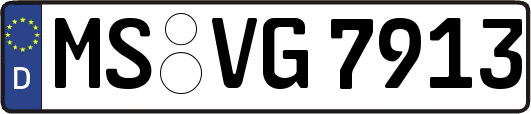 MS-VG7913