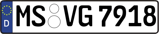 MS-VG7918