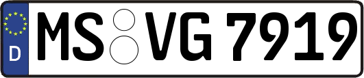 MS-VG7919