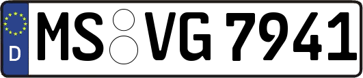 MS-VG7941