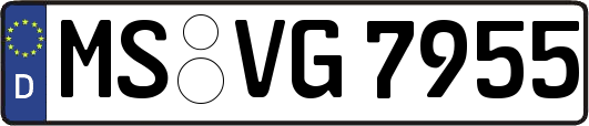 MS-VG7955