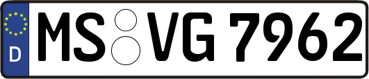 MS-VG7962