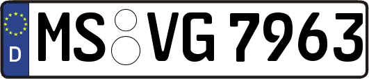 MS-VG7963