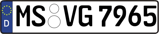 MS-VG7965