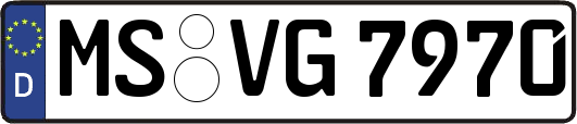 MS-VG7970