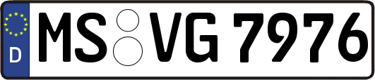 MS-VG7976