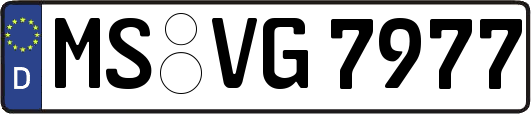 MS-VG7977