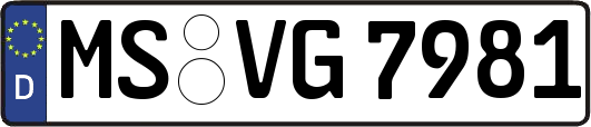 MS-VG7981