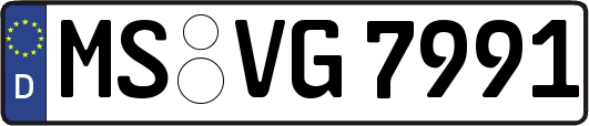 MS-VG7991