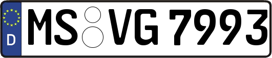 MS-VG7993