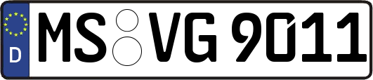 MS-VG9011