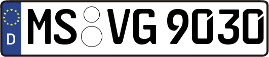MS-VG9030