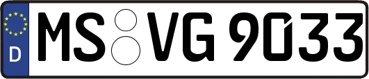 MS-VG9033