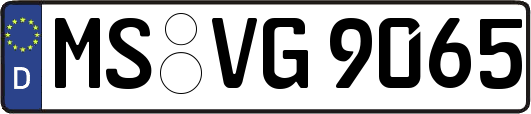 MS-VG9065