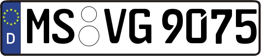 MS-VG9075