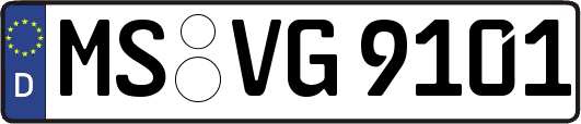 MS-VG9101