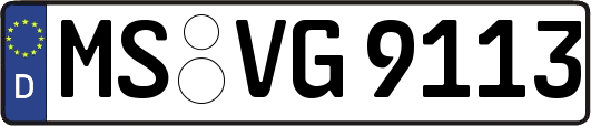 MS-VG9113