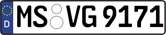 MS-VG9171
