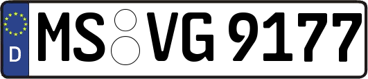 MS-VG9177