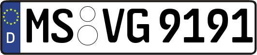 MS-VG9191